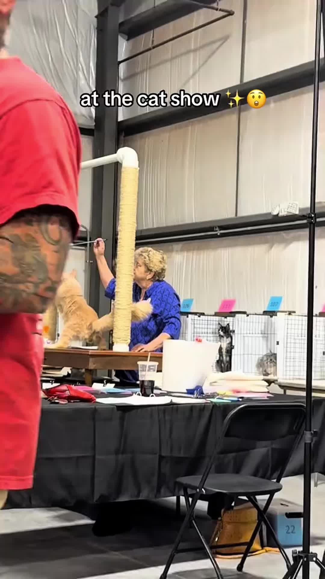 @petsoftiktok