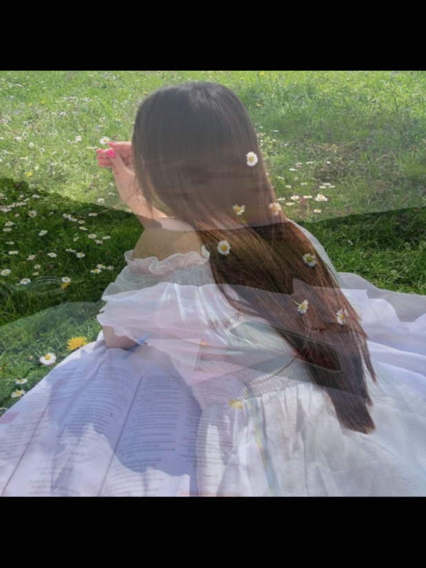 @🦋 johanna 💜 🌱