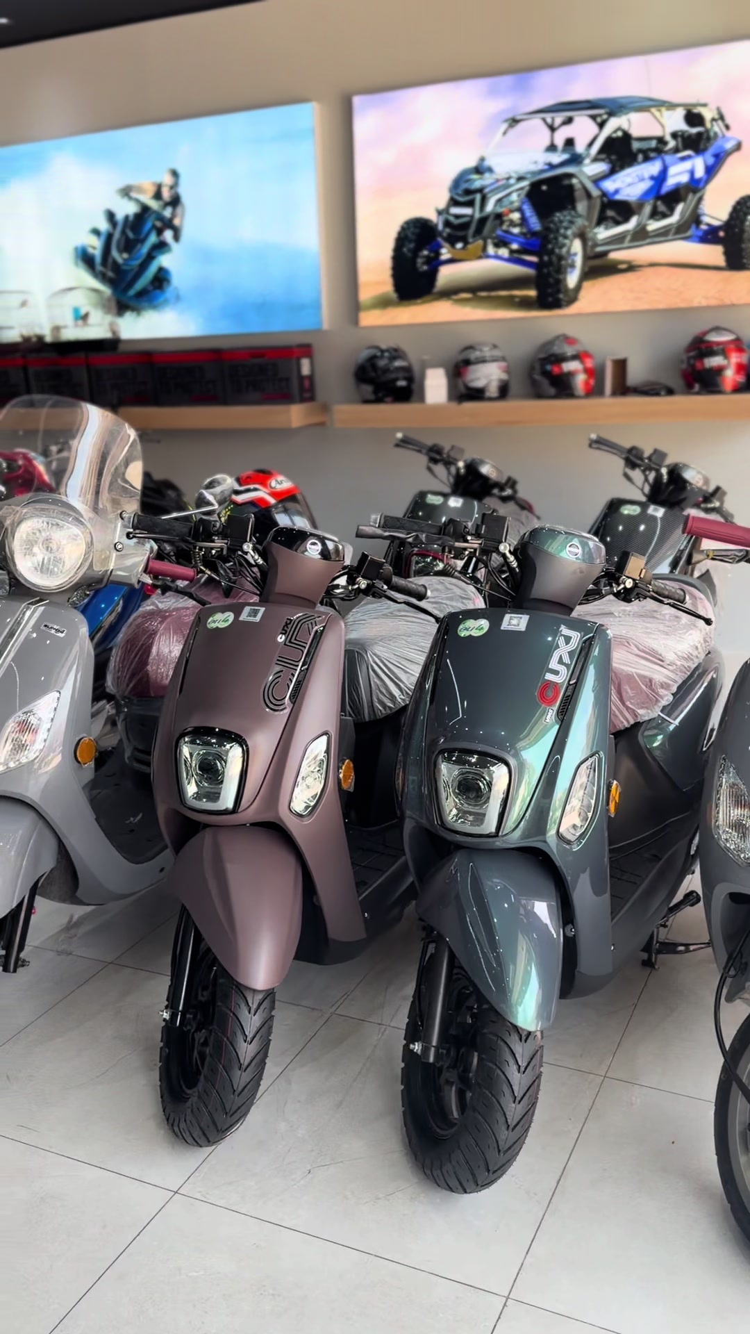 @APEX Moto