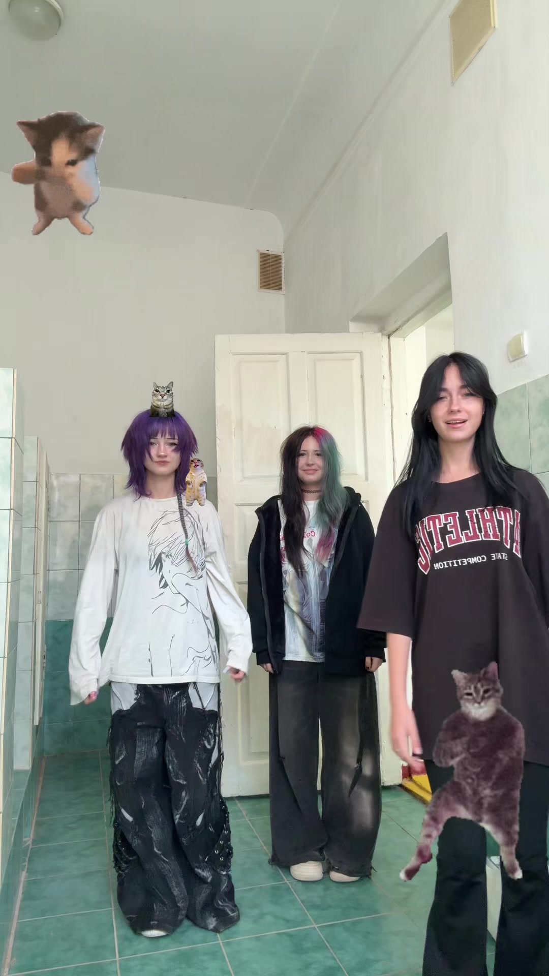 @aloraxs