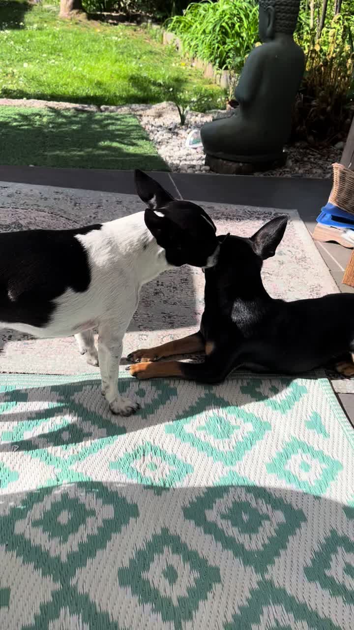 @Mo&Gi Life 🐾❤️🥰