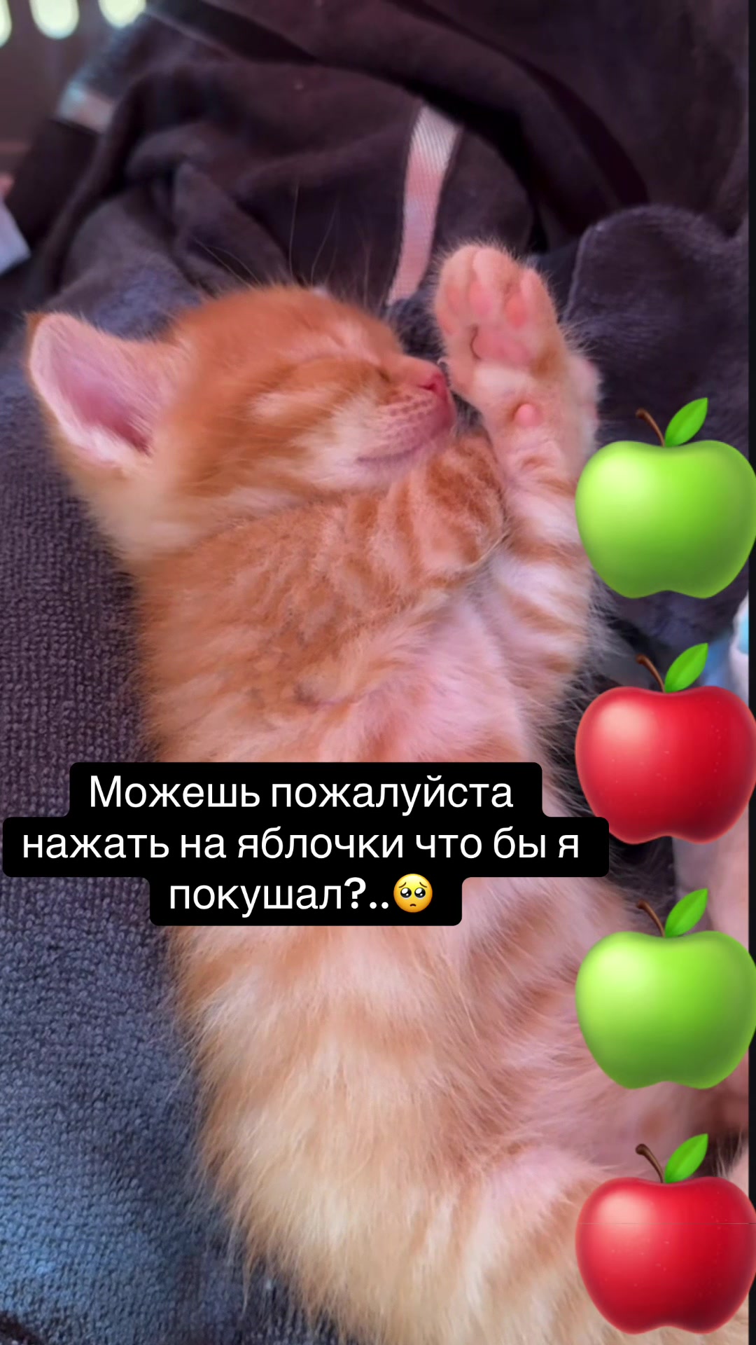 @kaboompriut