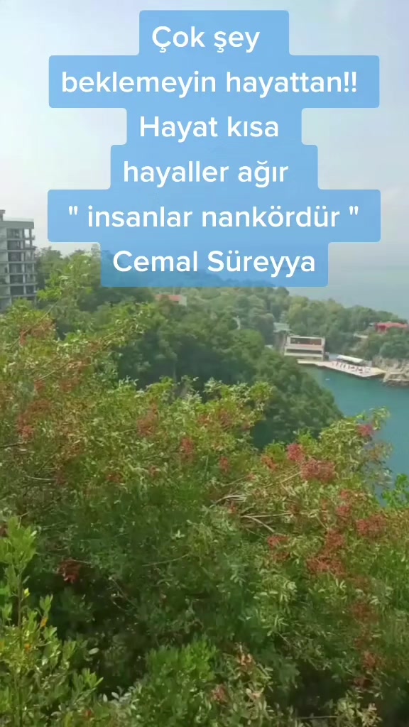 @67sevdam67
