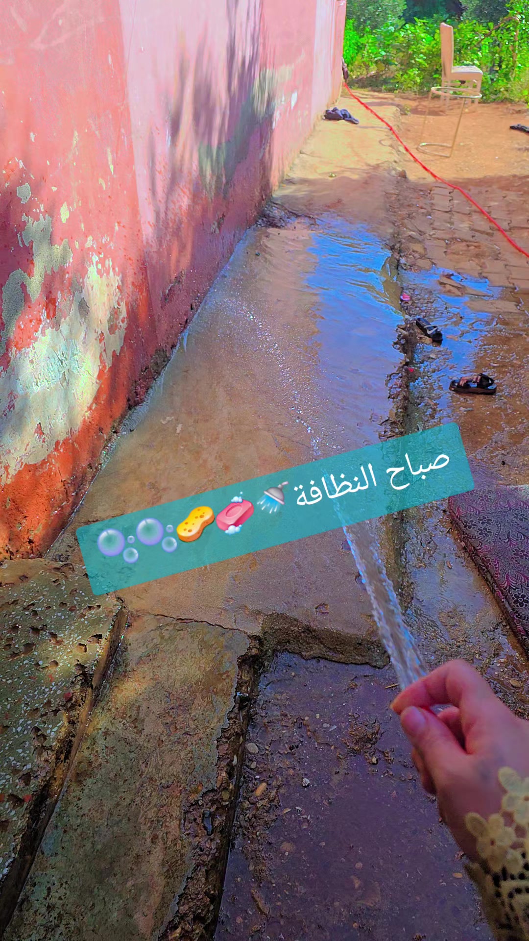 @🎀Lmoshy🎀