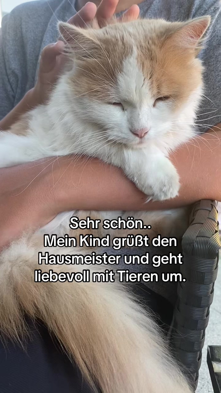 @POVs mit Rambo&Mausi