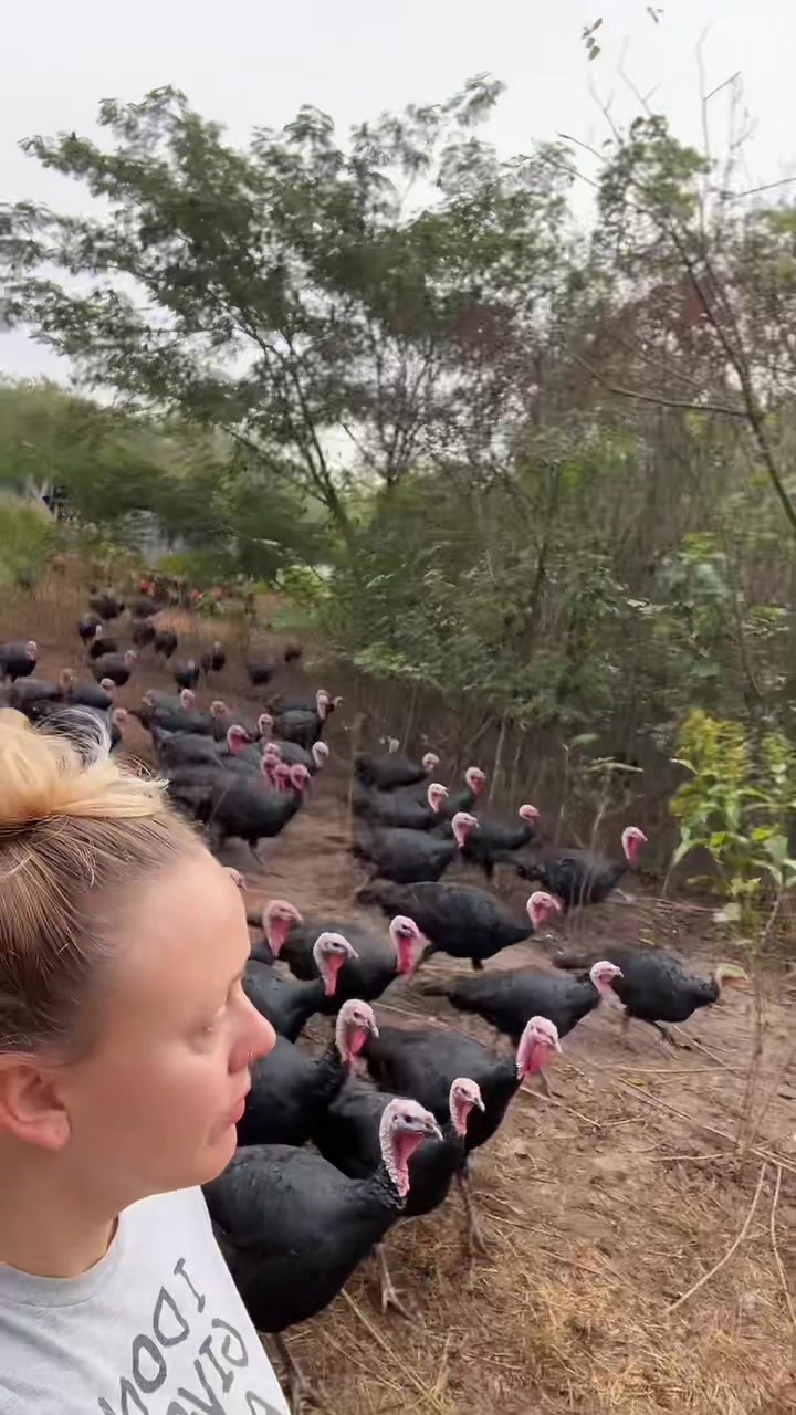 @farmerandtheharpiist