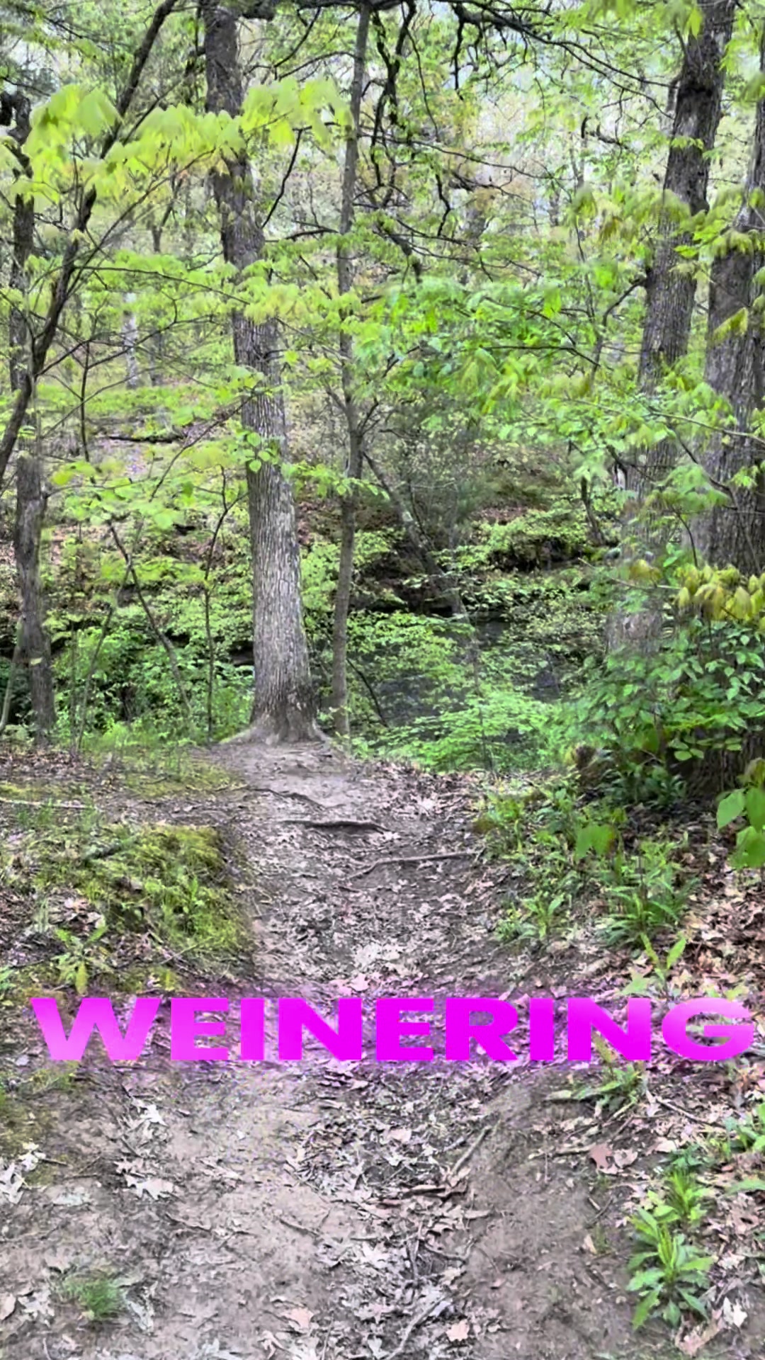 @Starved Rock State Park