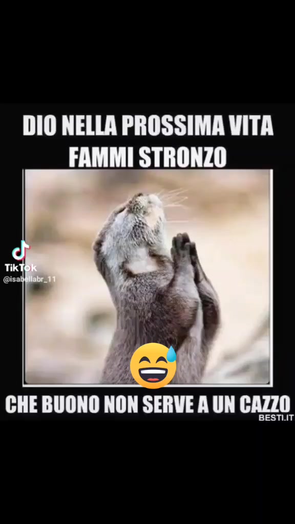 @vito il calabrese