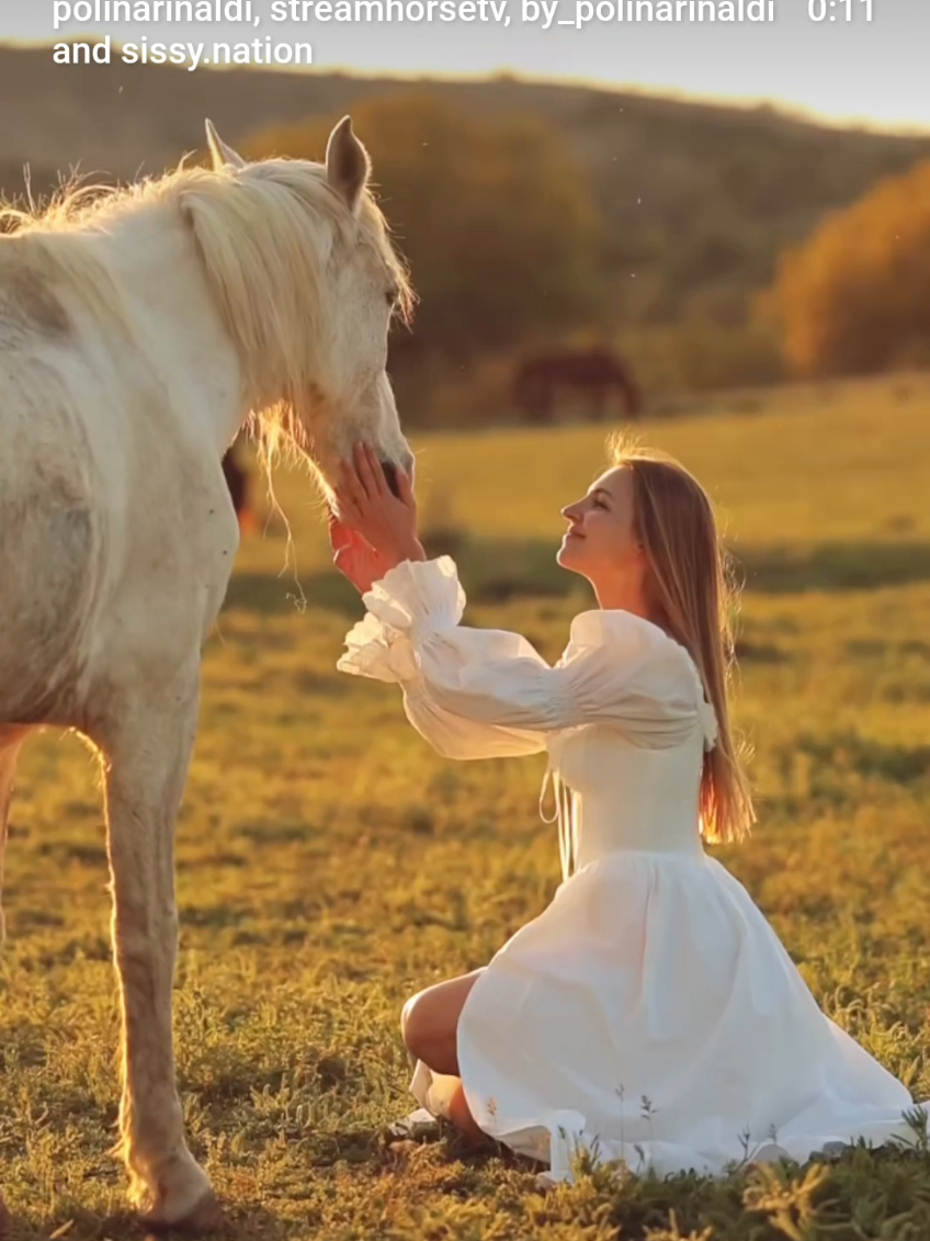 @streamhorse