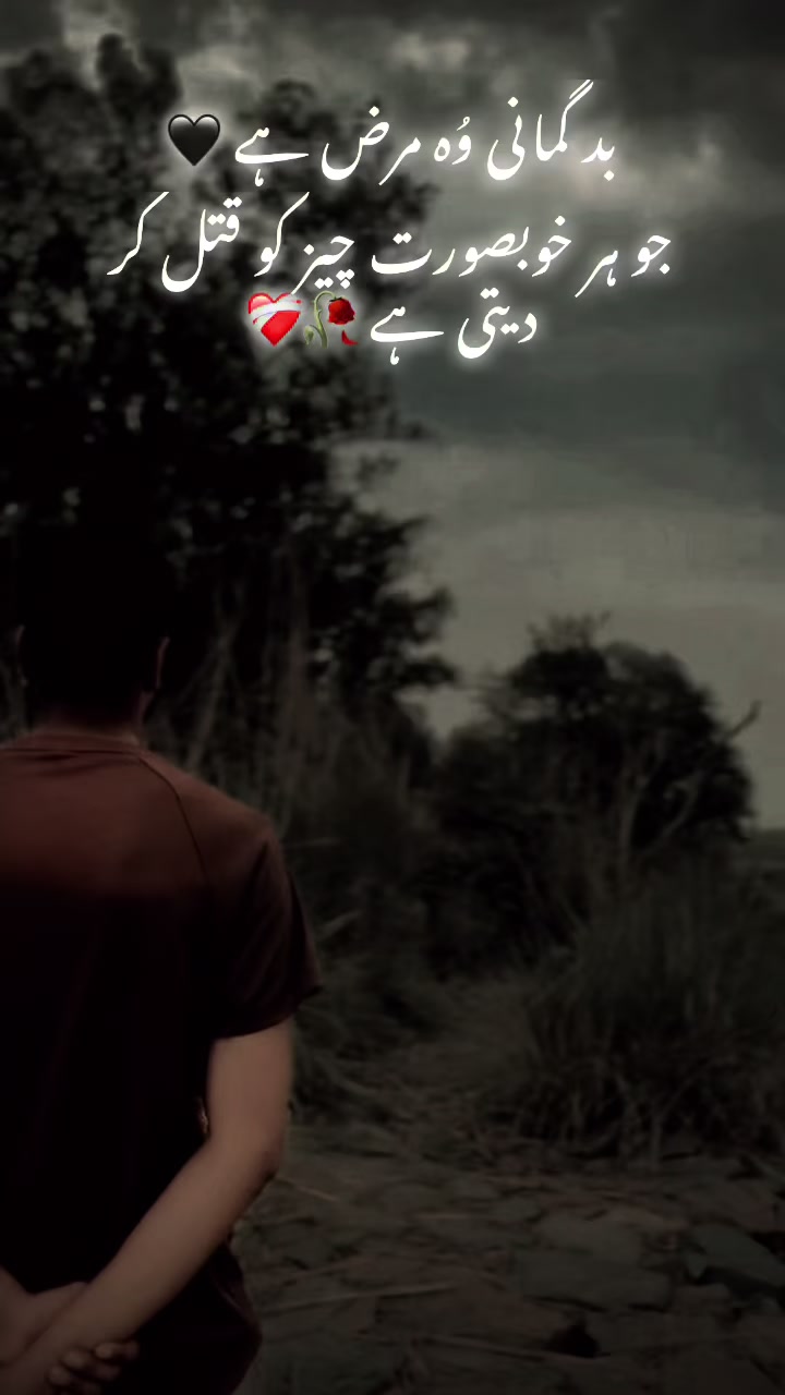 @عبداللہ 🍂