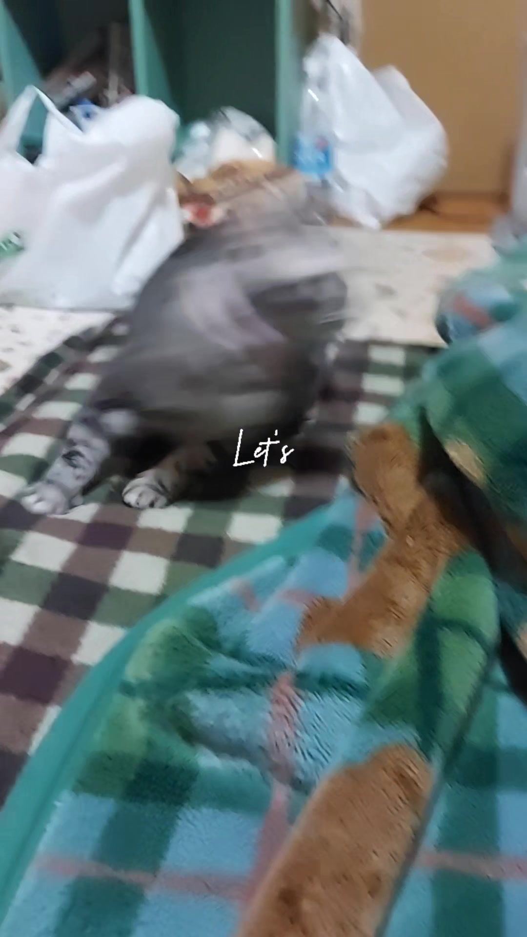 @juri-chan