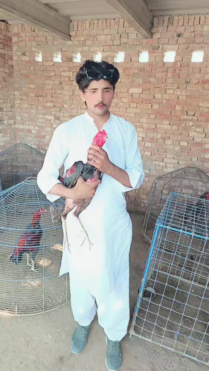 @Shoaib Khan M