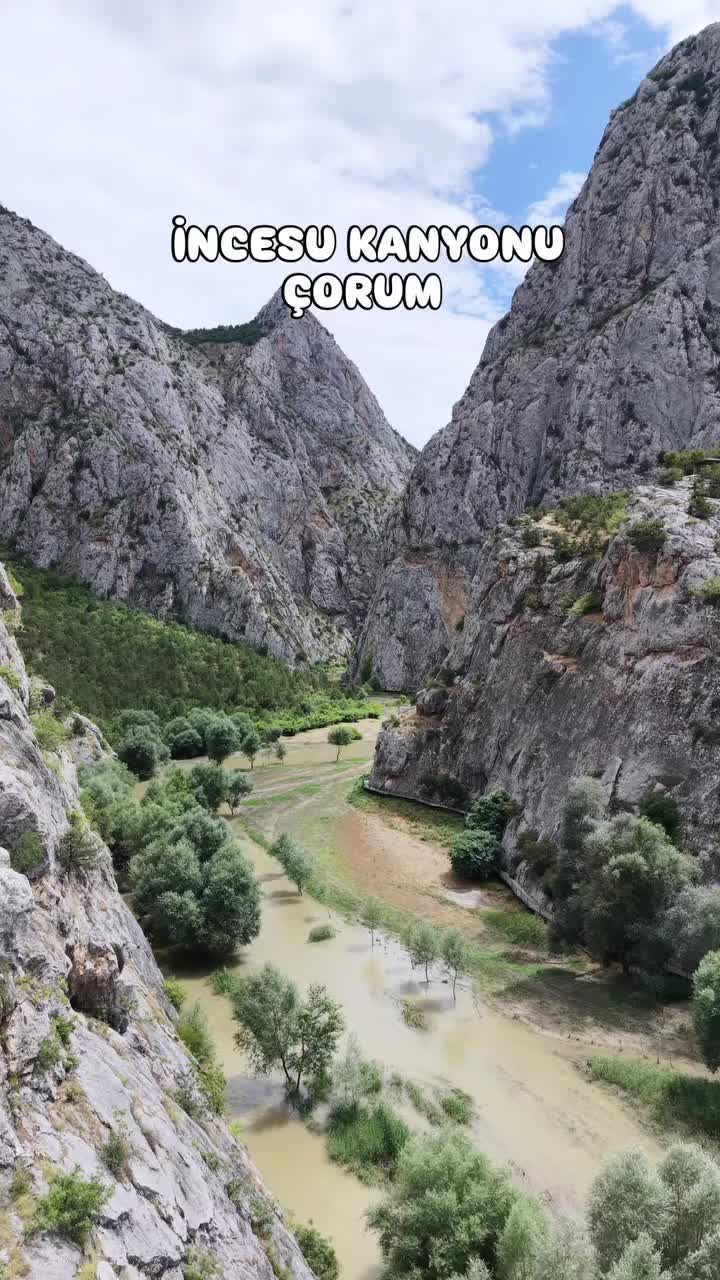 @Avrupadaki_Corumlular_19
