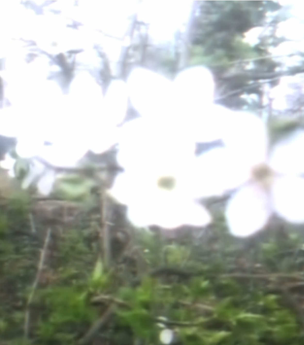 @𝘤𝘩𝘢𝘯𝘥𝘭𝘦𝘳