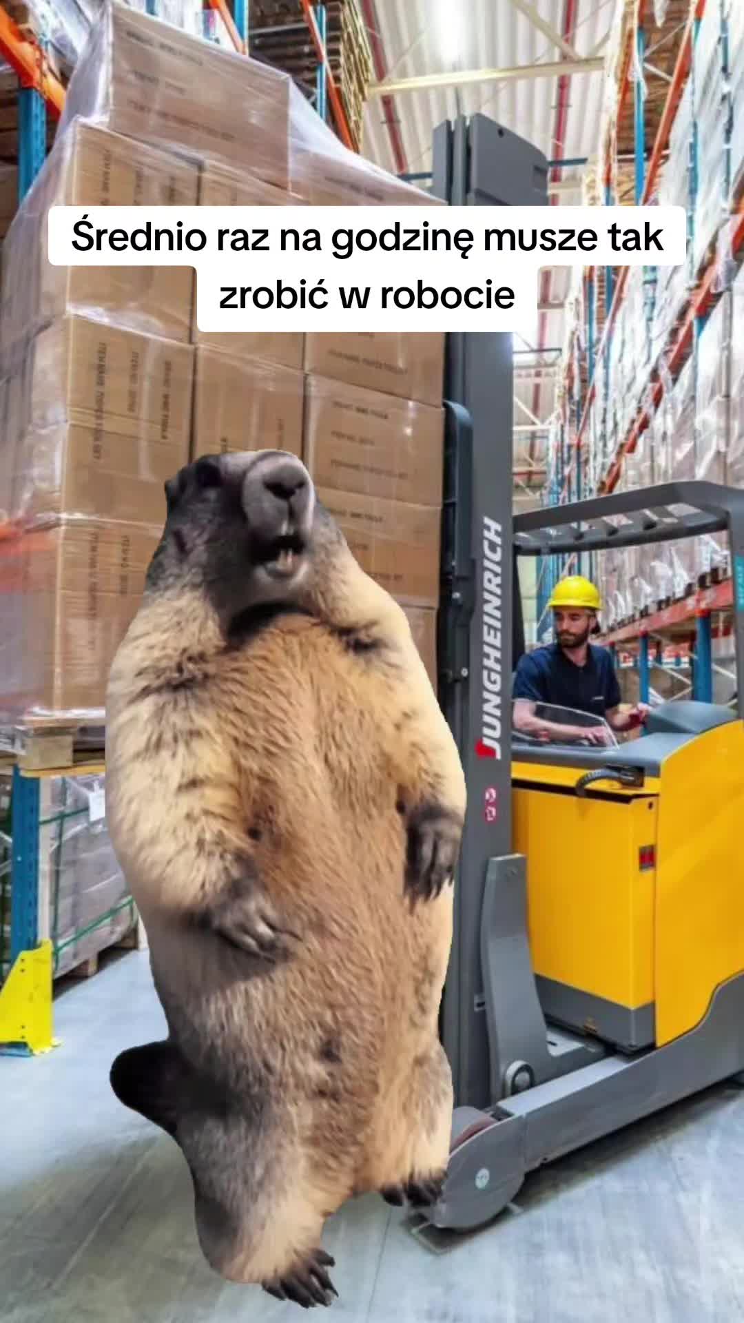 @𝐔𝐒𝐄𝐑