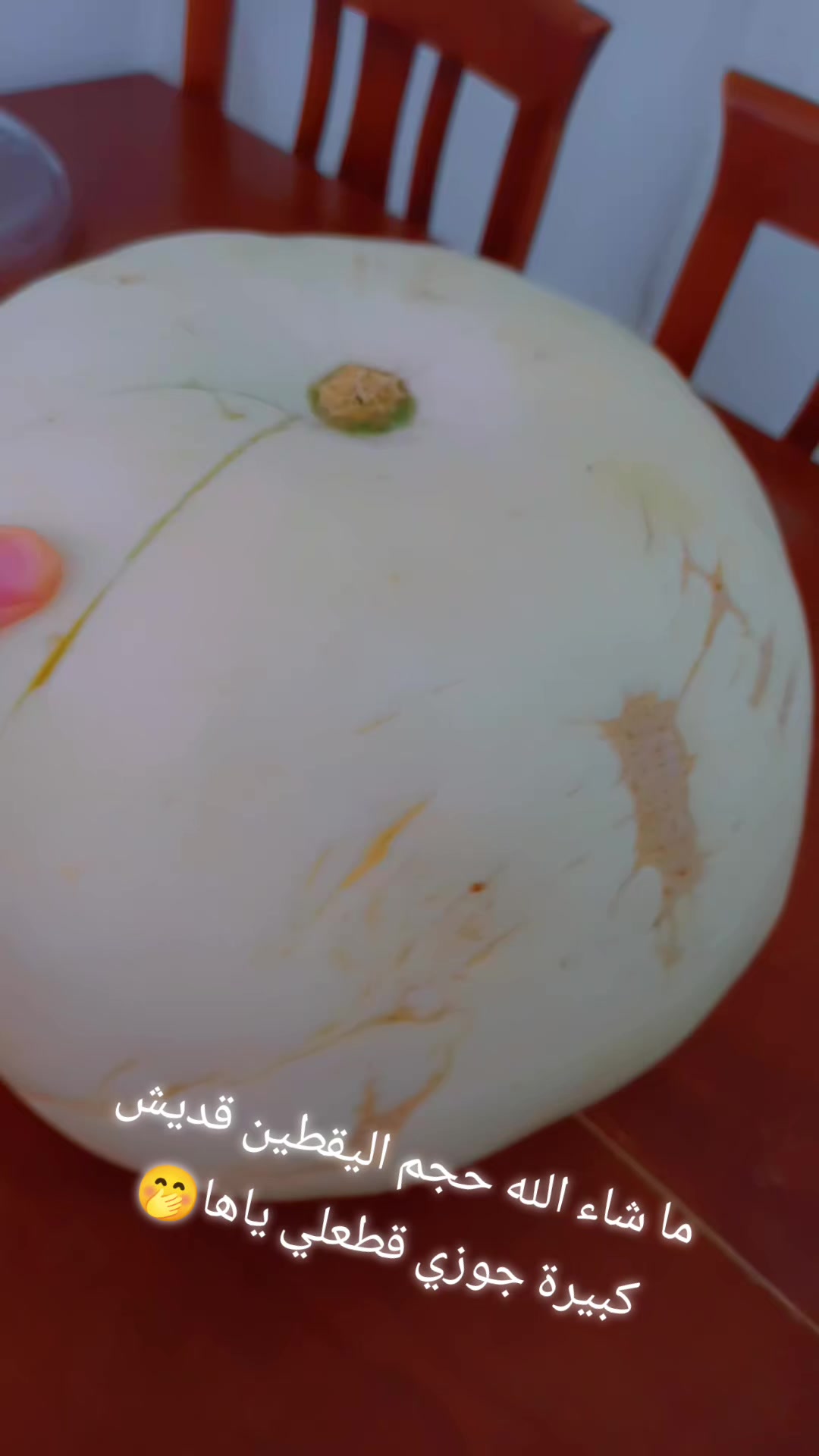 @♥️♥️ياسمين♥️♥️الشام♥️♥️