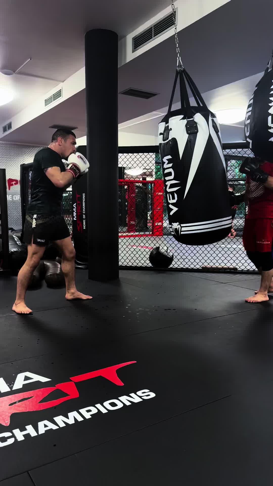@mubarez_mma