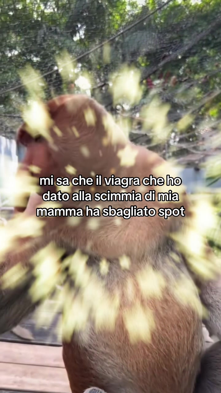 @autisticgirl