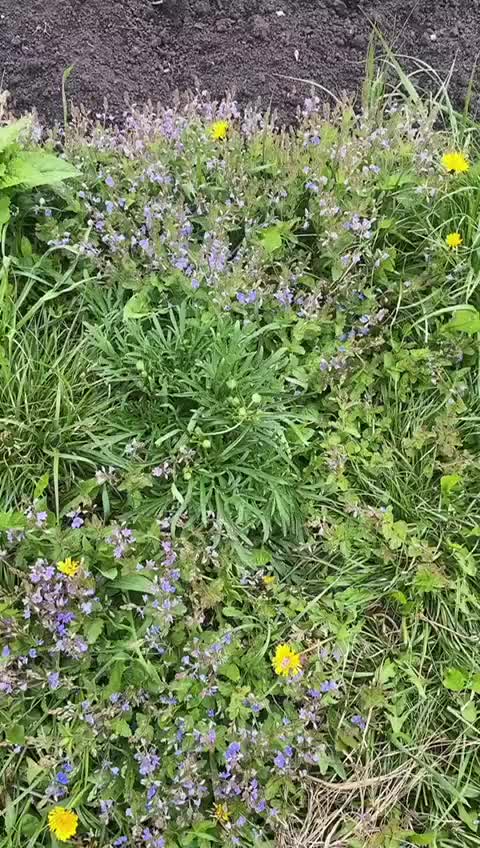 @nataliy77.77