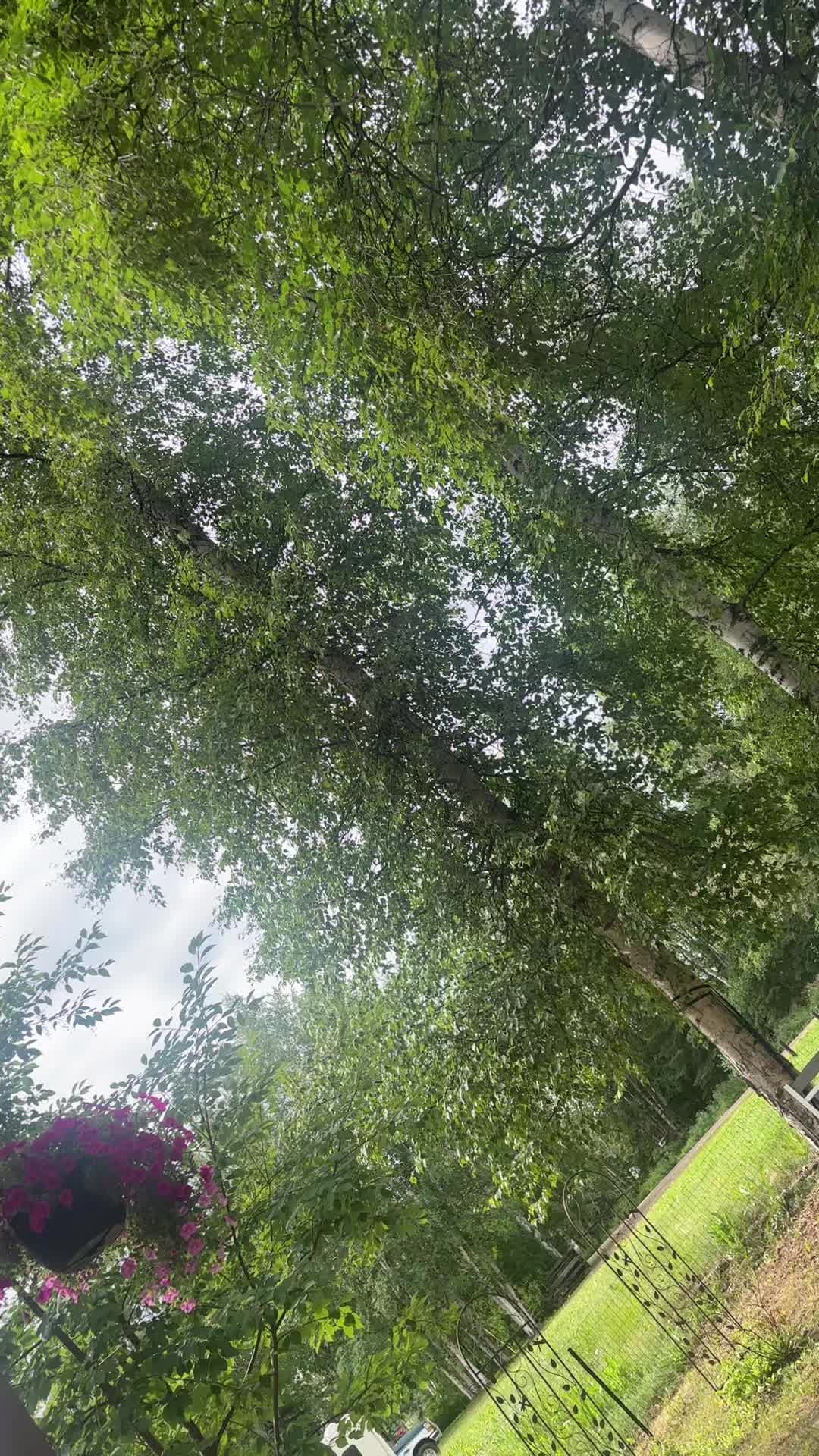 @☆𝓼𝓴𝔂♡ɴᴏᴀʜ ᴋᴀʜᴀɴs ᴠᴇʀsɪᴏɴ