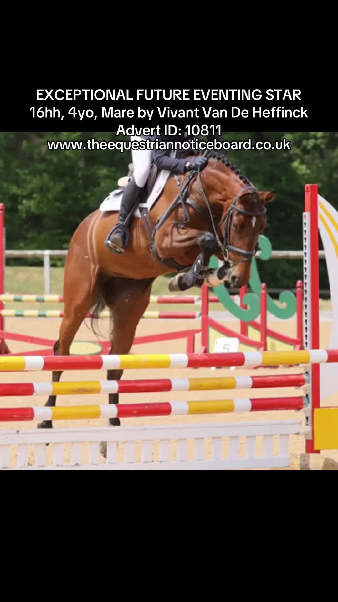 @theequestriannoticeboard