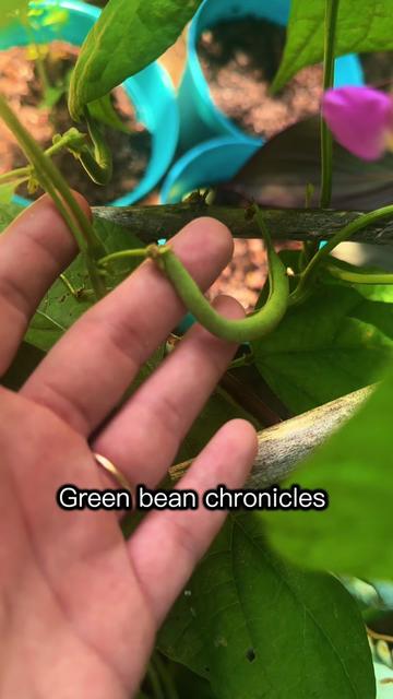 @🍄