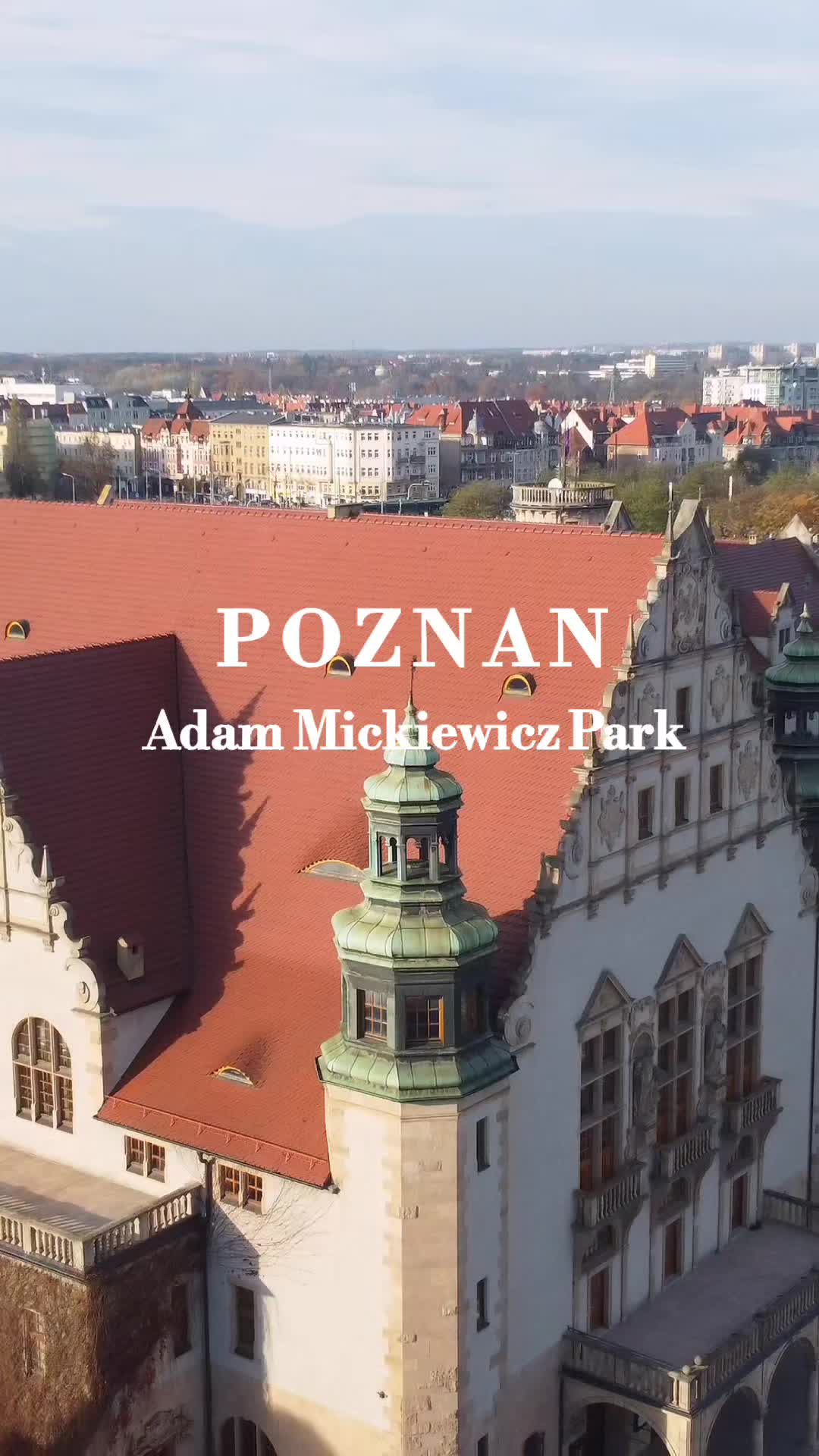 @travel.drone