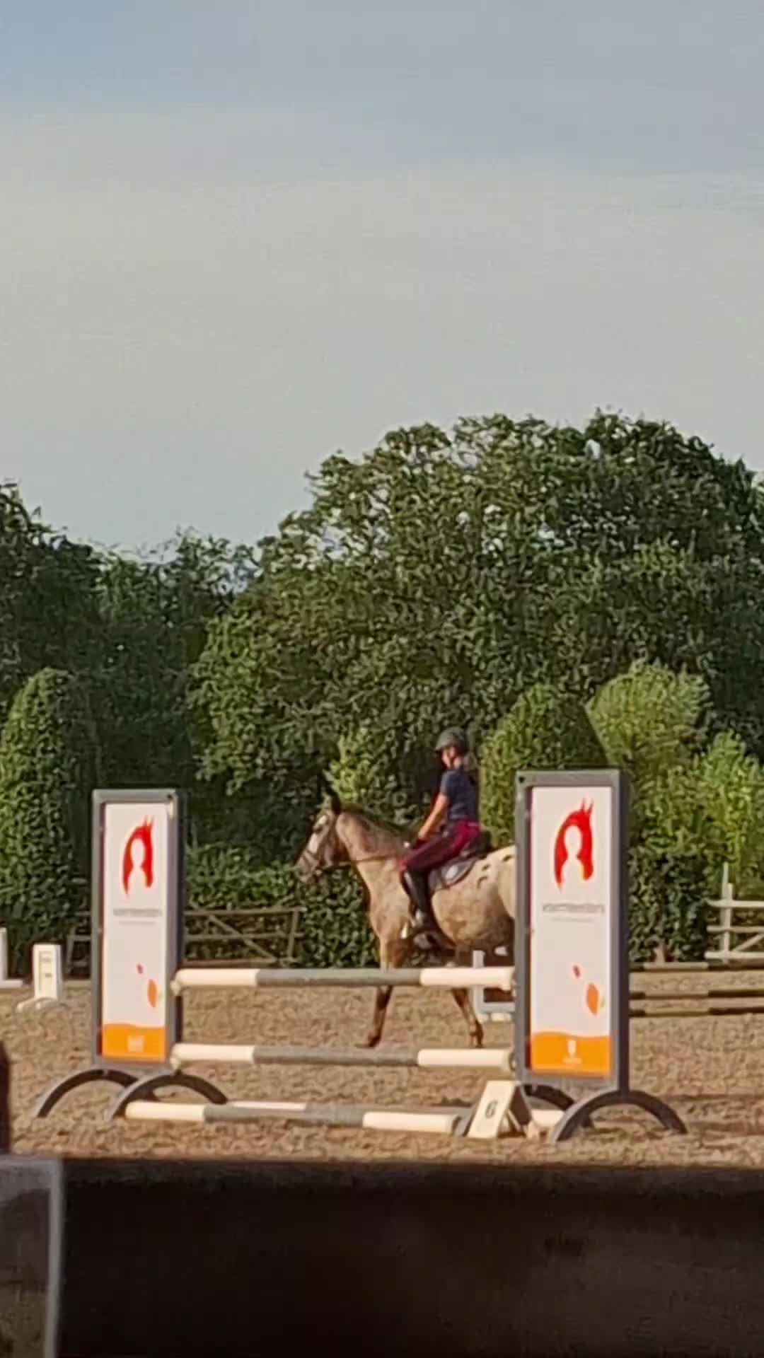 @horses.by.Britt:)