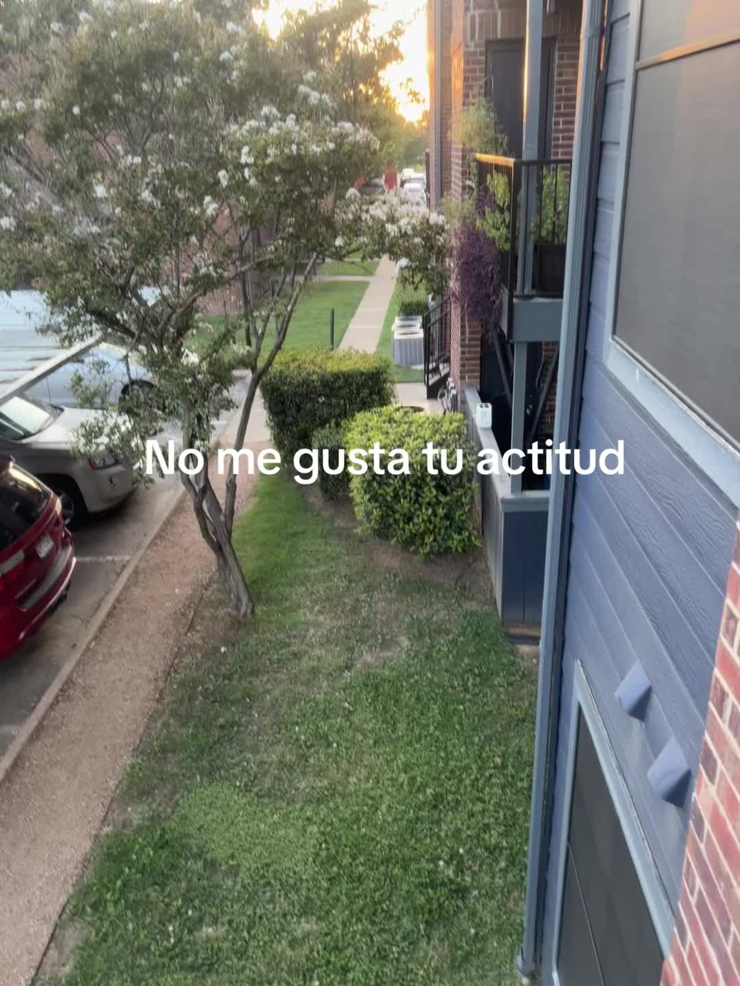 @ᥫ᭡