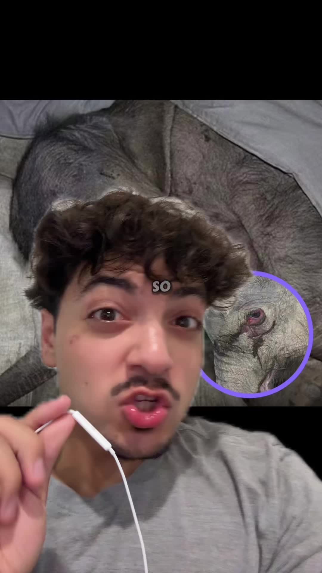 @Sbladn