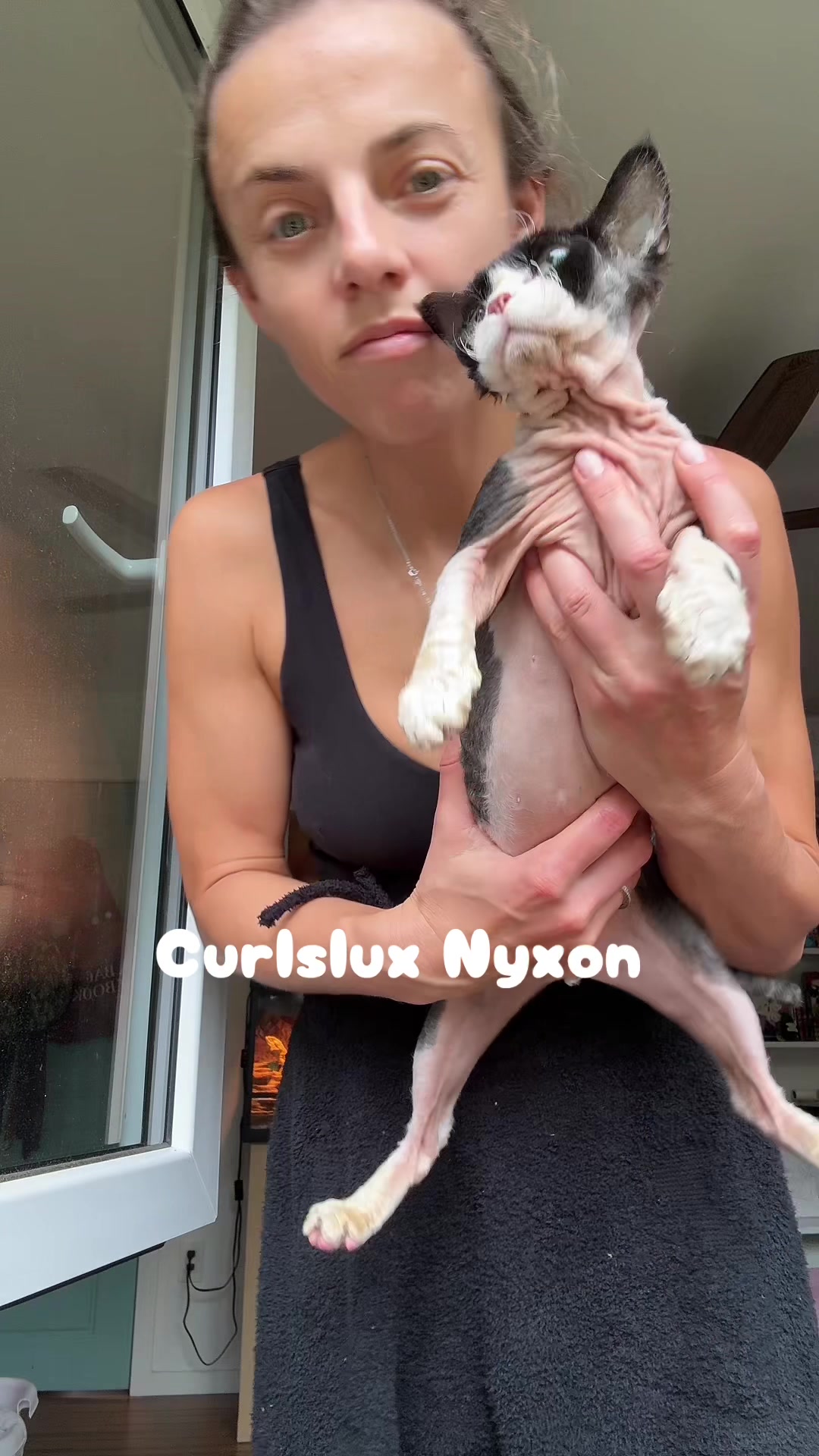 @Curlslux cattery!!🇺🇸