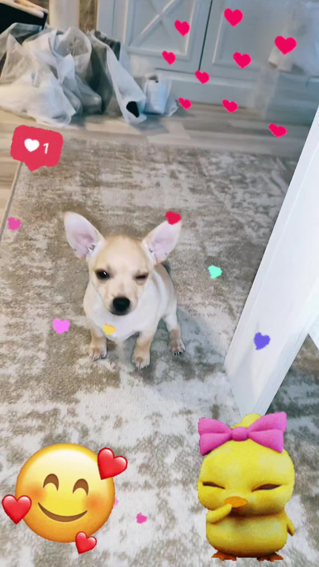 @๐บ๊ฅ๐บ ๐๐จ๐ฏ๐_๐๐ข๐ฑ๐ข ๐บ๊ฅ๐บ
