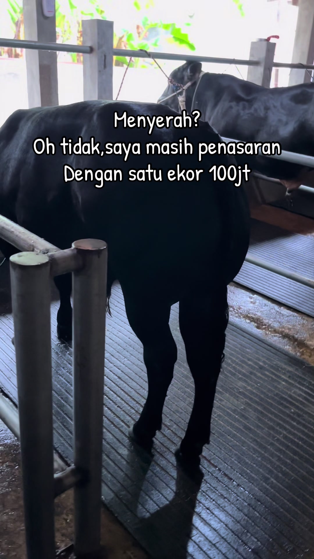@Sandy666⛓️
