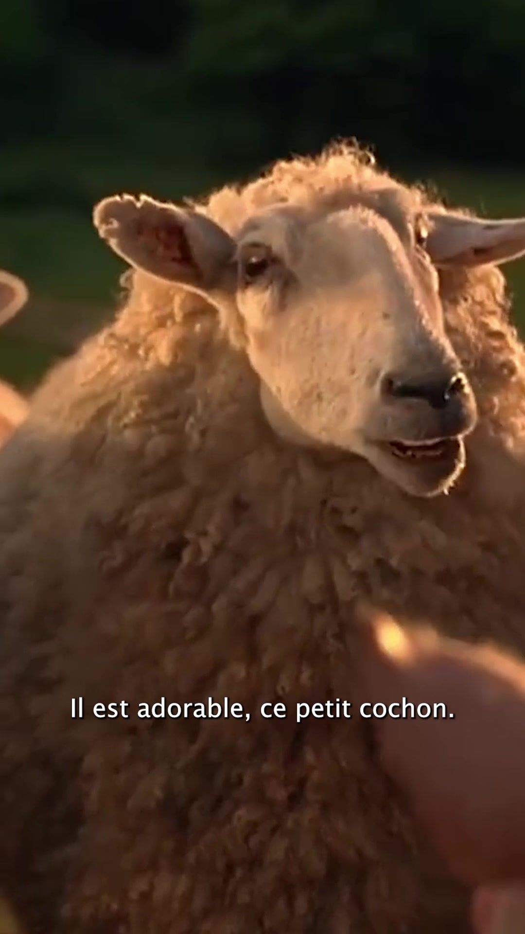@La Cinémathèque française