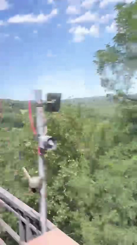 @ɴɪʟᴏꜱᴄʜ ɢᴏᴇᴋᴀʏꜱʀüᴄᴋᴇɴ 🌶️🦅