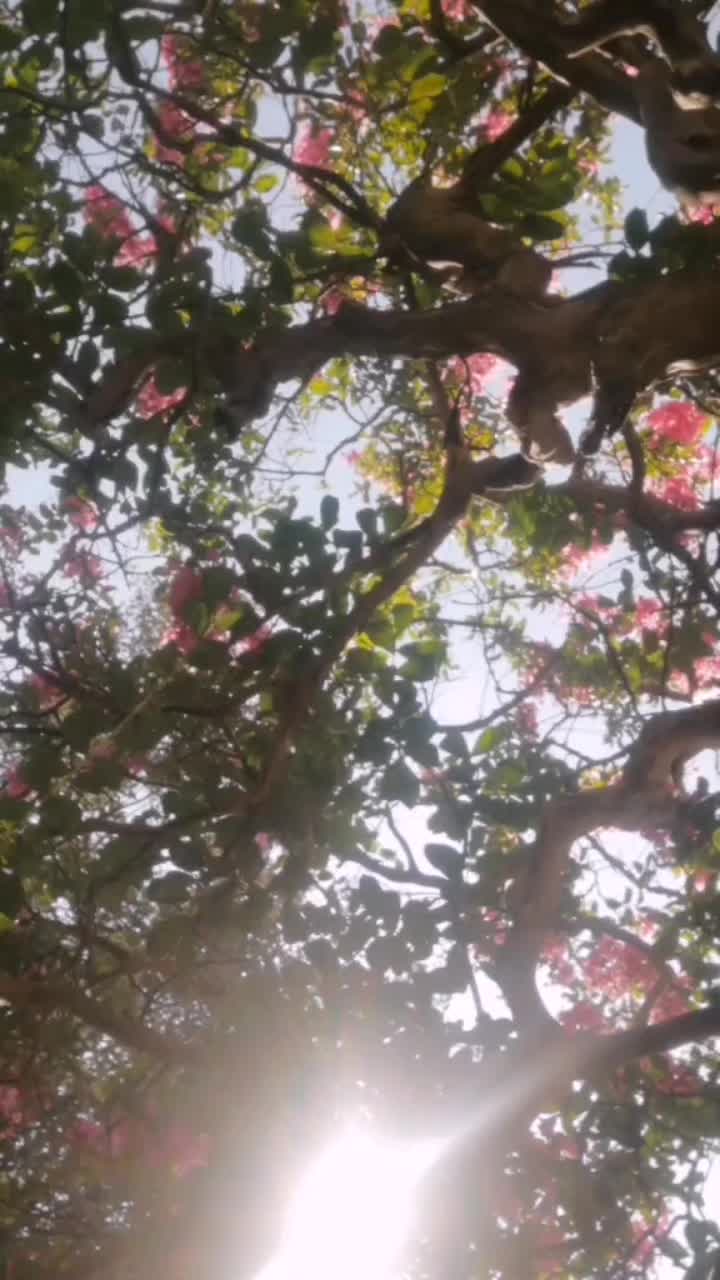 @SUNU646