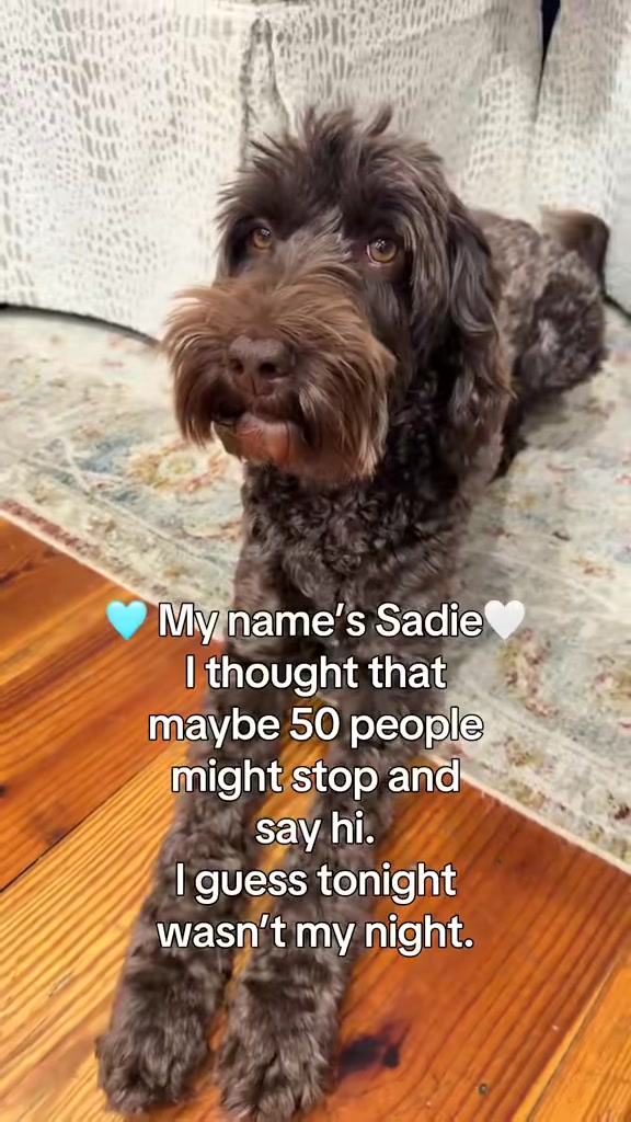 @Sadie the Doodle