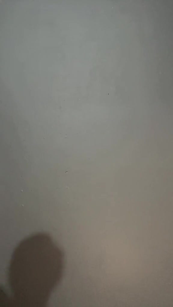@staybasicsbr