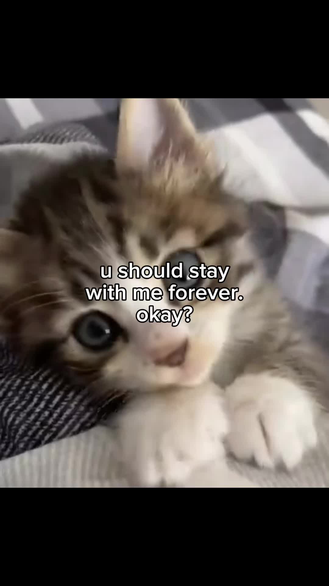 @lucyylow