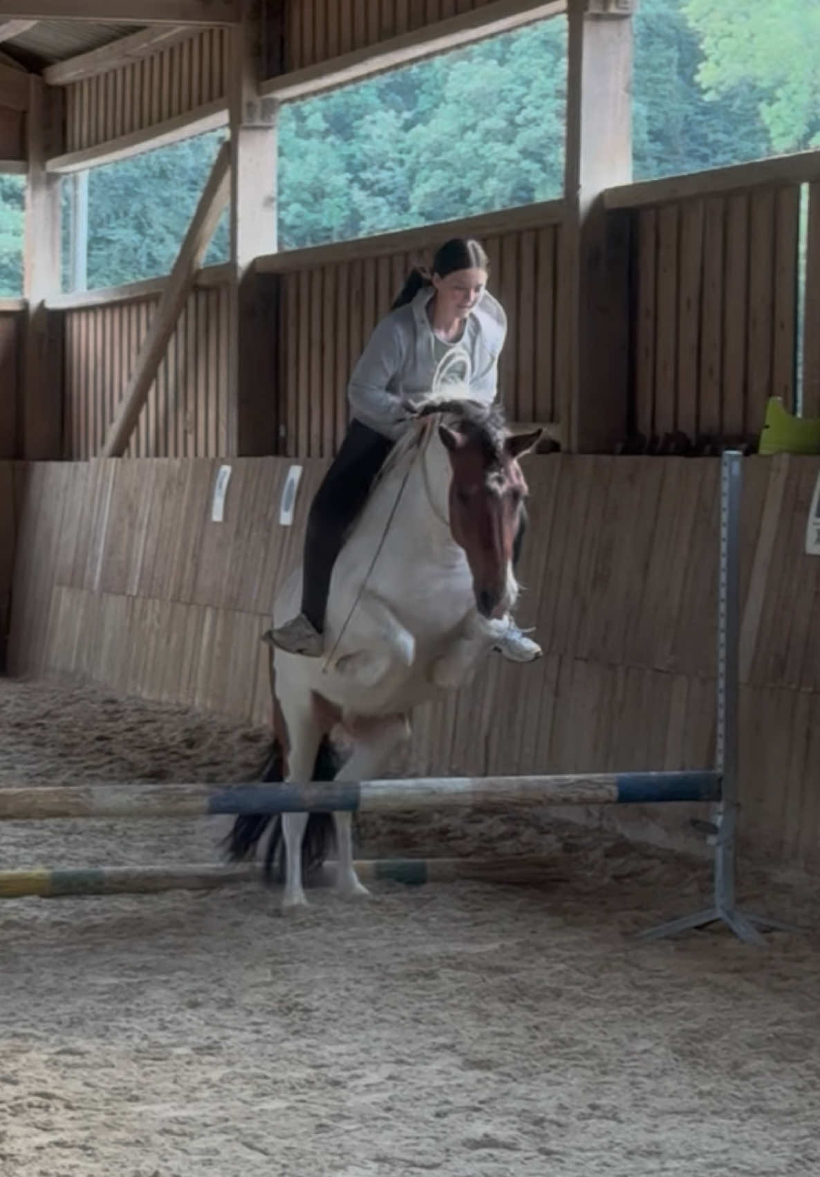 @annalisa.equestrian