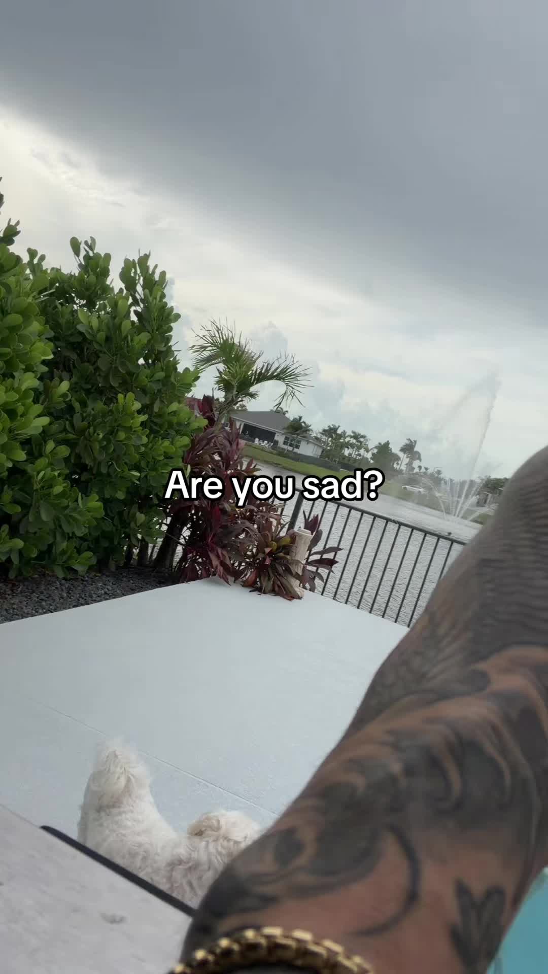 @captainmuscle9555