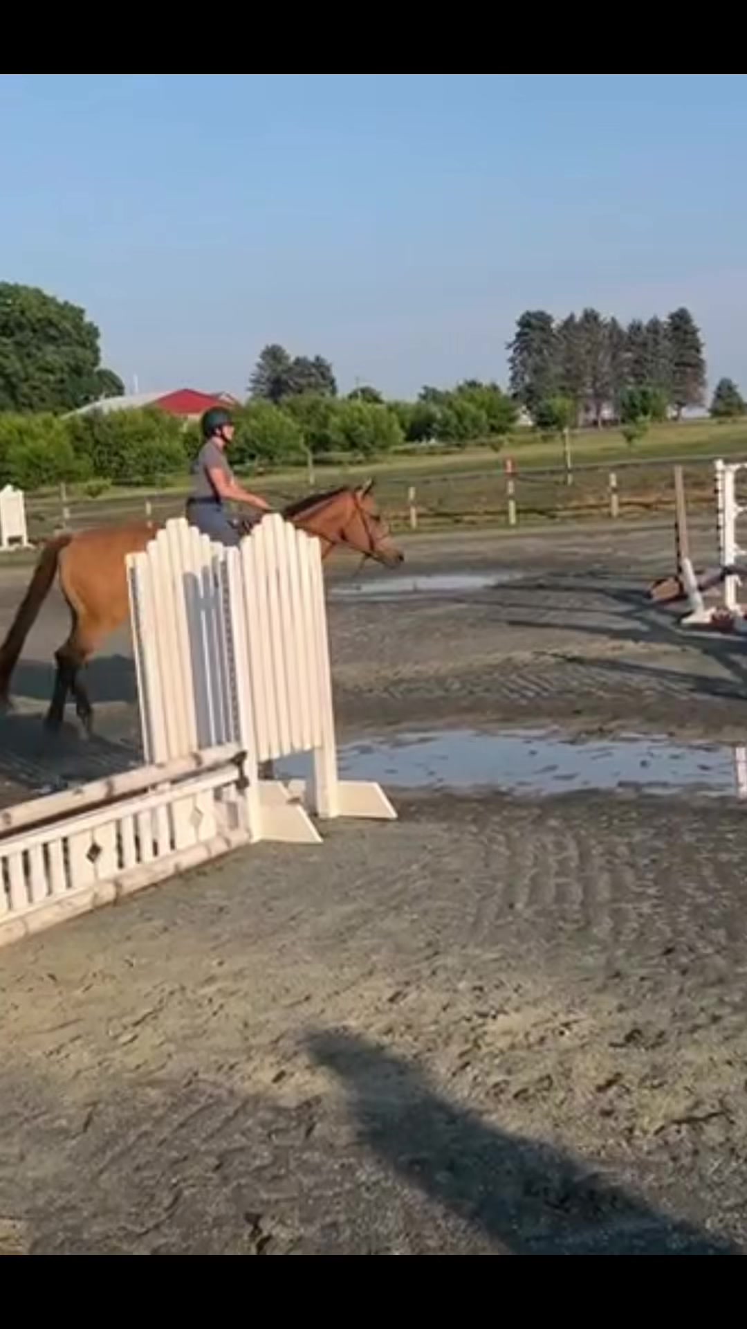@Aftyn 🐎