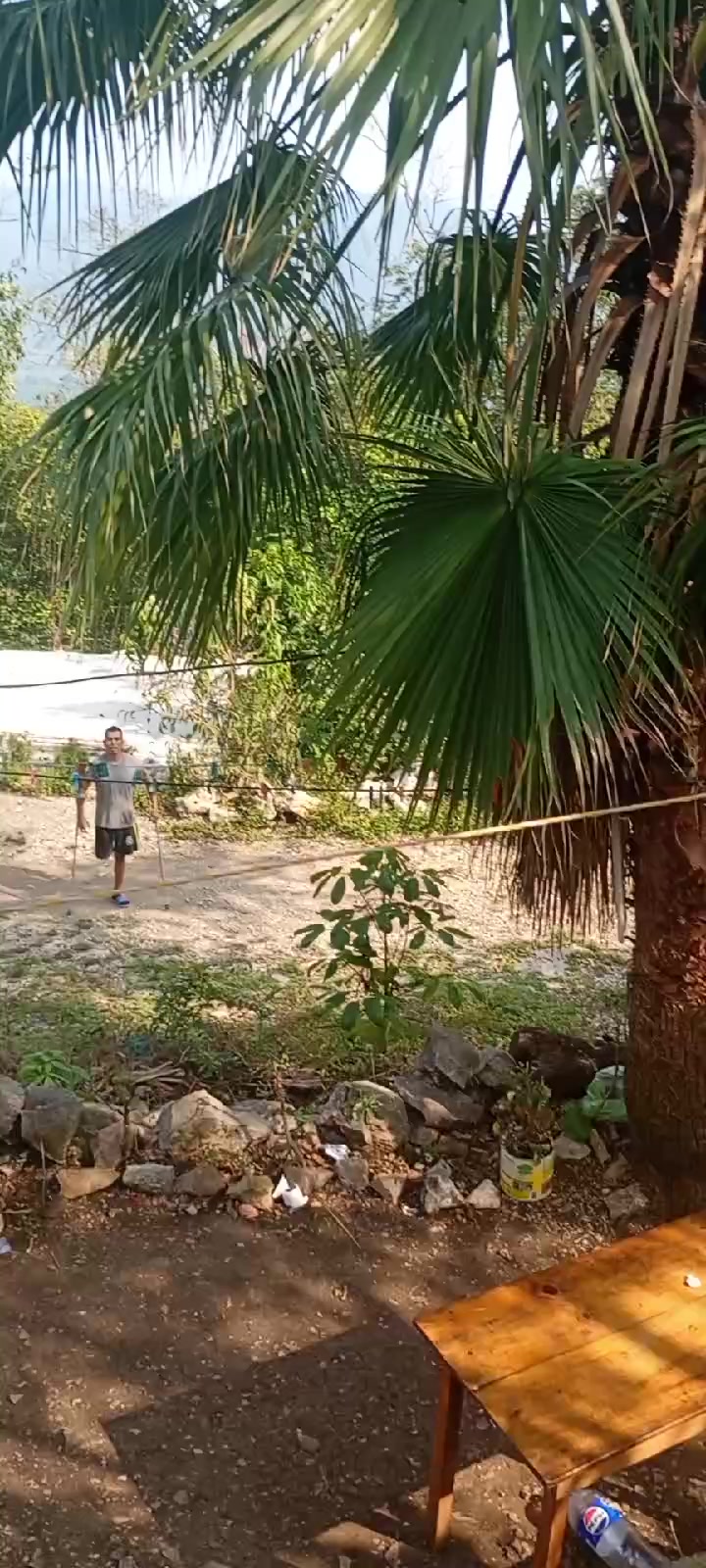 @lobo guerrero 🧑🦽🦿