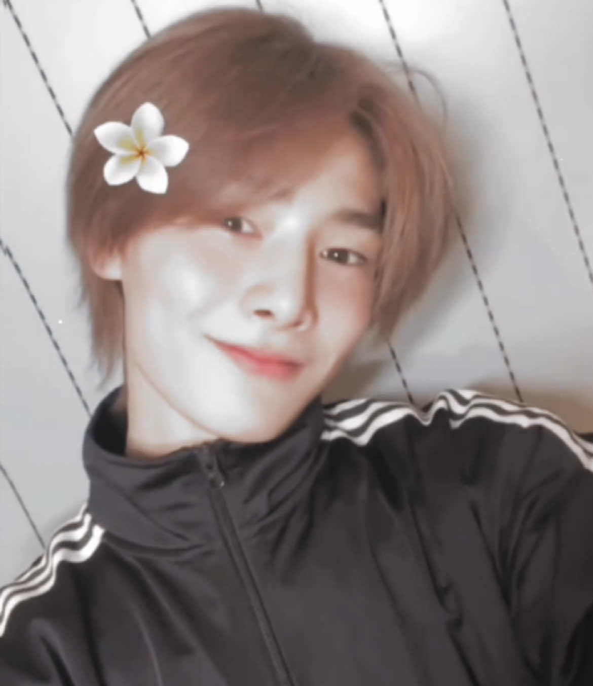 @mae 𝜗ৎ