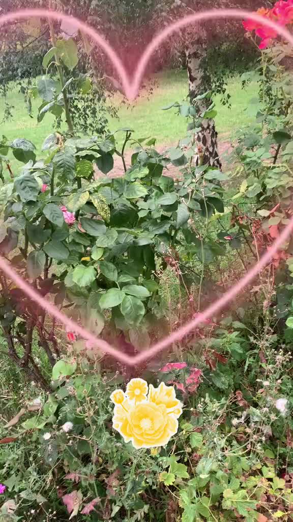 @Prin33Ss❤️McK3ZiE❤️gundi007