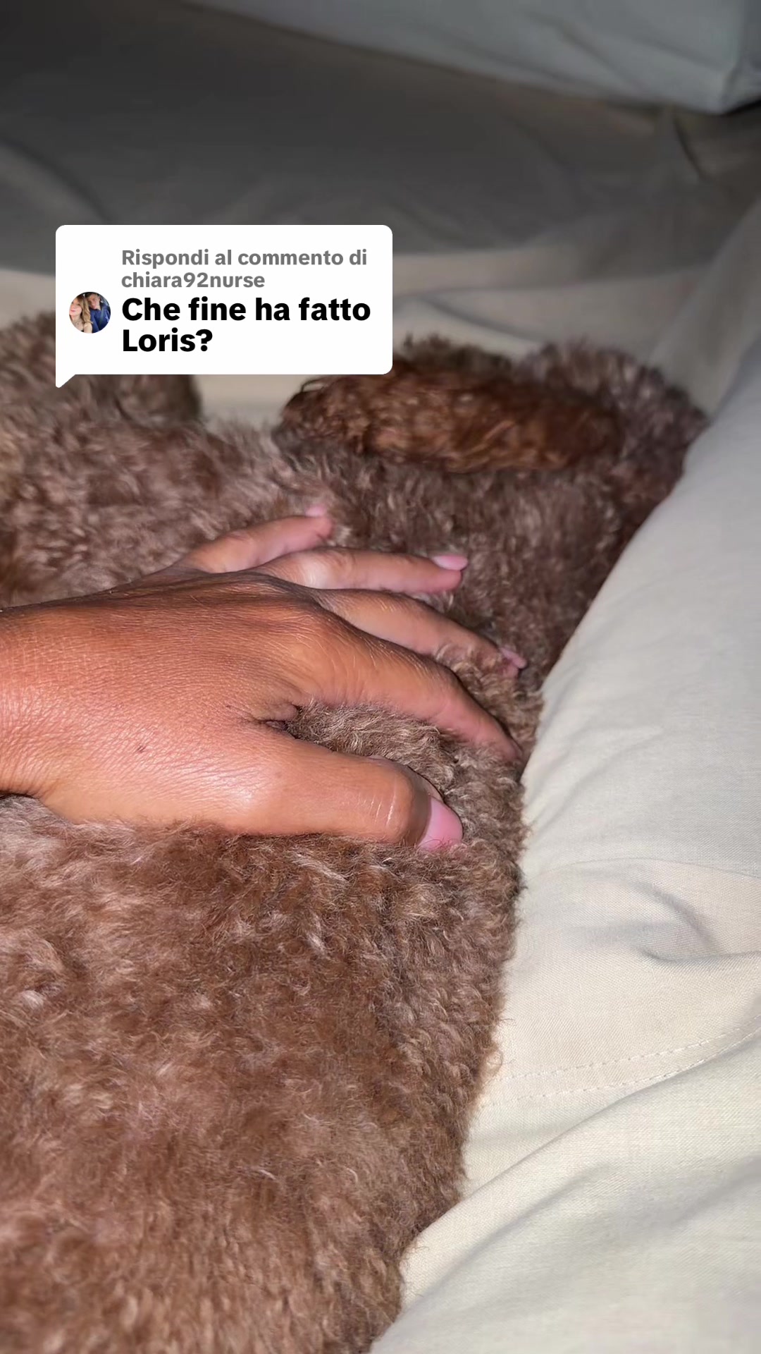 @misterpellapazzofamily1