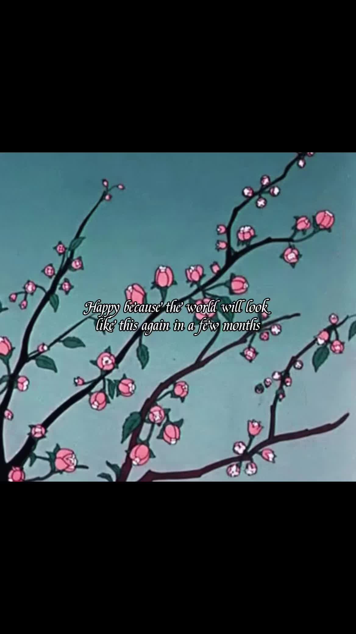 @โฐโ๐๐ก๐๐
๐๐โโฐ
