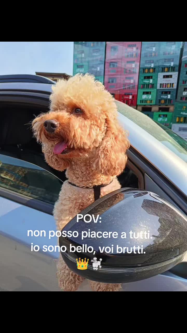 @Momenti Deliziosi