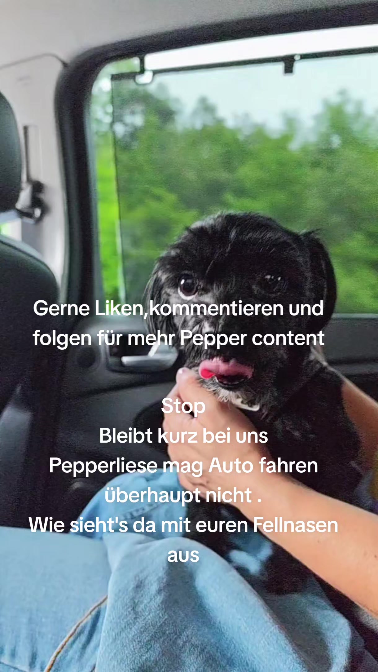 @P&ouml;ppi