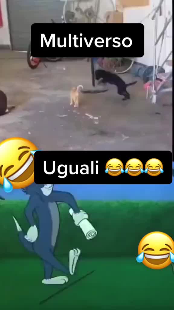 @ilmanu75